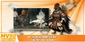 Quy Tắc Đá Gà Thomo Từ A Đến Z Cần Thiết Cho Tân Binh